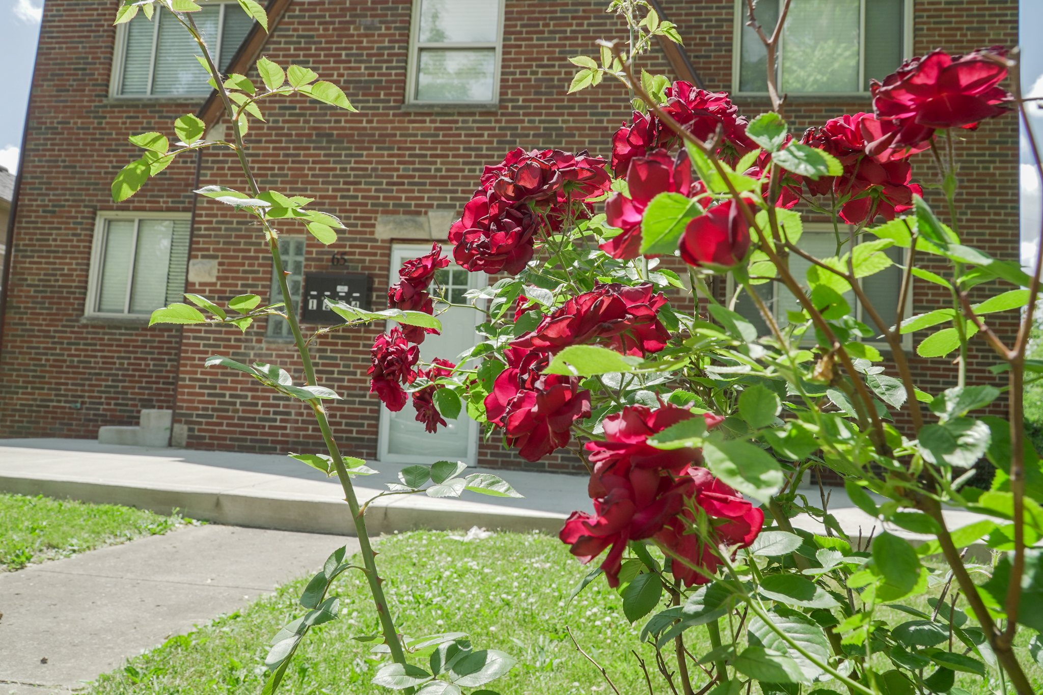 65 N Brinker Ave
